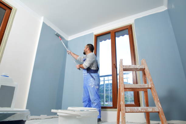 Reliable Aristocrat Ranchettes, CO Painting & Drywall Installation Solutions